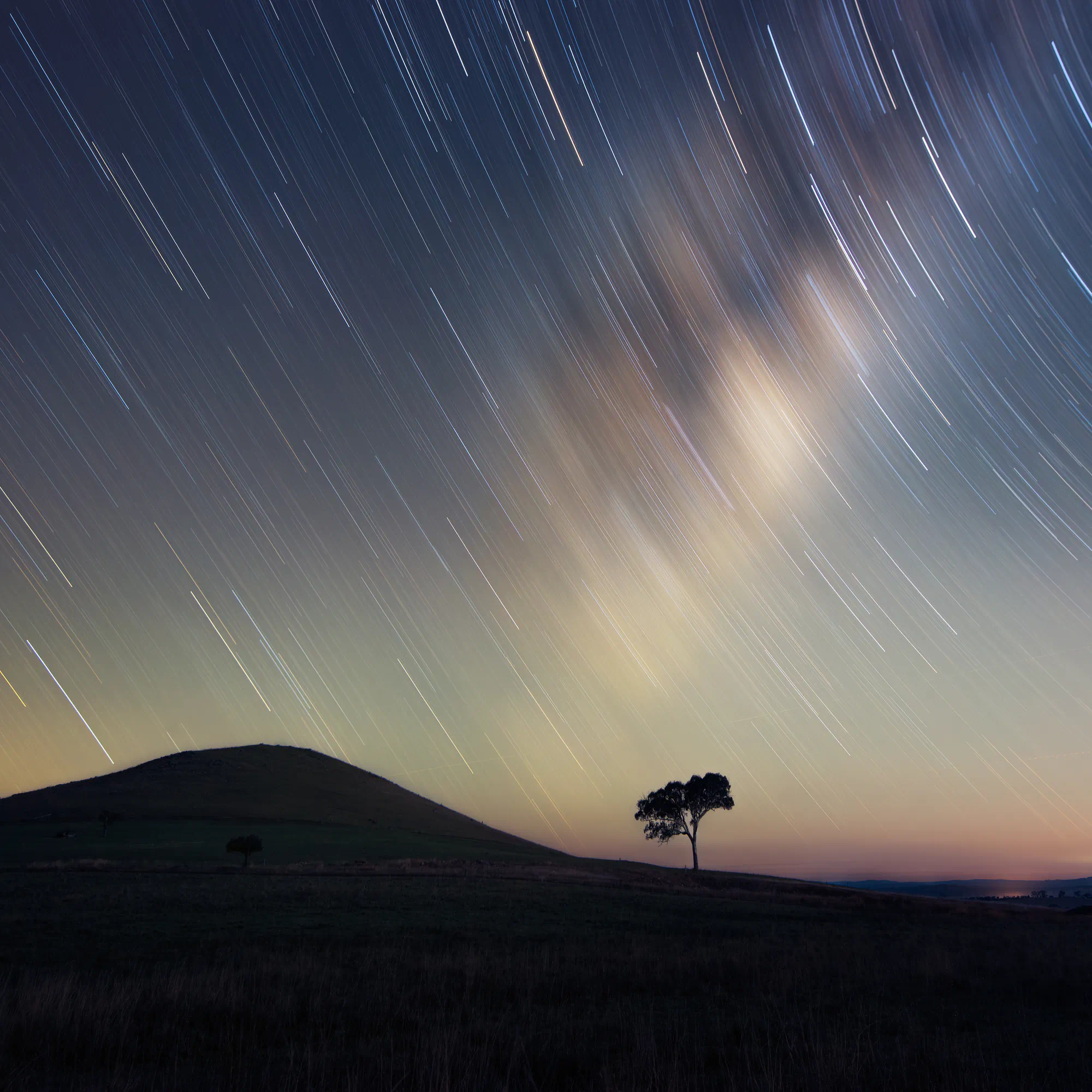 stars and a lone tree
